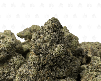 Gingerbread Pink-S (2)