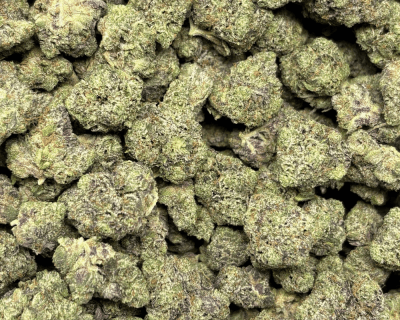 Gingerbread Pink-S (3)