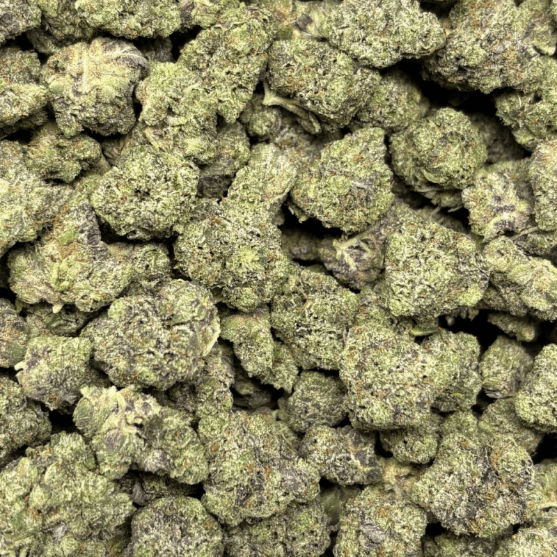 Gingerbread Pink-S (3)