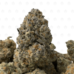Granddaddy Cookies (2)