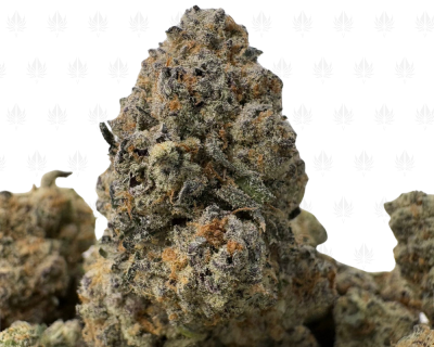 Granddaddy Cookies (2)