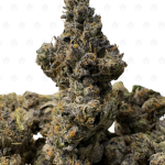 High Octane Gelato (3)