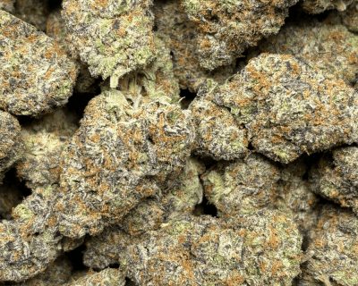 Mendo Breath-B (3)