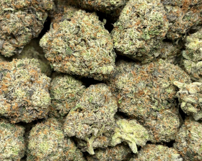 Mind Kontrol Pink-B (2)