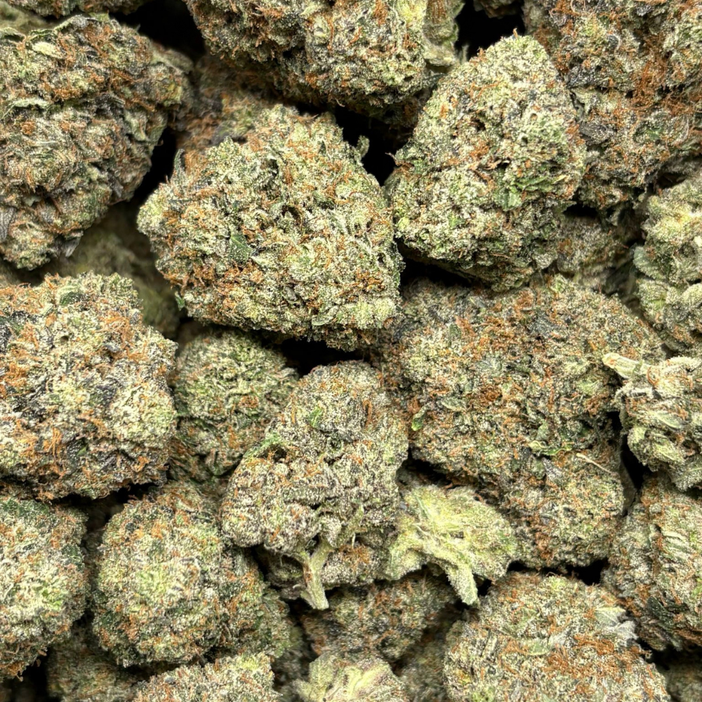 Mind Kontrol Pink-B (2)