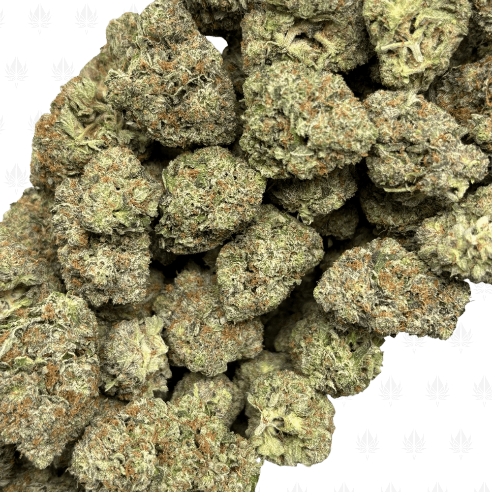 Mind Kontrol Pink-B (3)