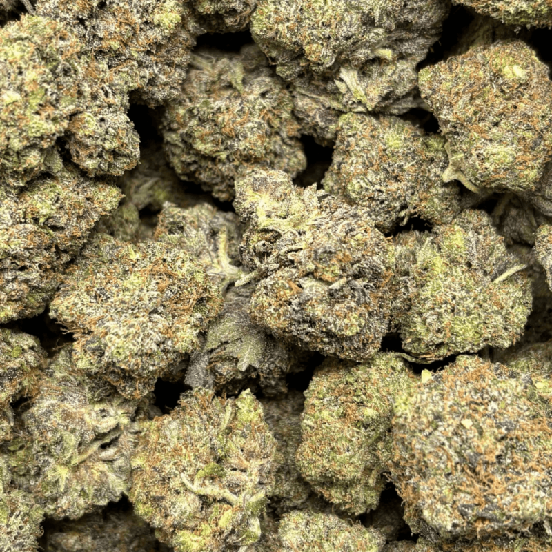 Pink Gasoline-B (3)
