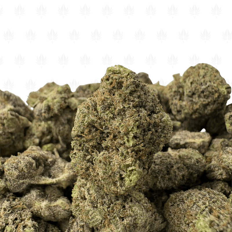 Pink Gasoline-S (2) Pink Gasoline-S (2)