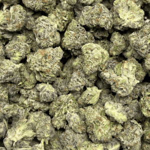 Pink Rockstar-S (3)