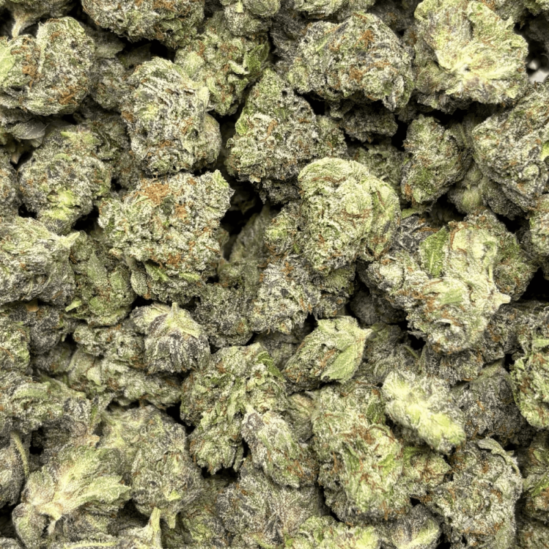Pink Rockstar-S (3)