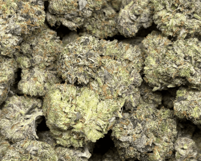 Pink Ultra Death (2)