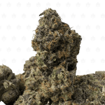 Pink Ultra Death (3)