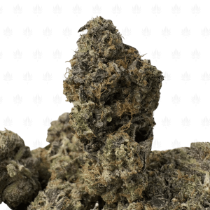 Pink Ultra Death (3)