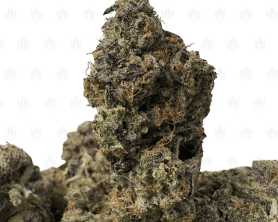 Pink Ultra Death (3)