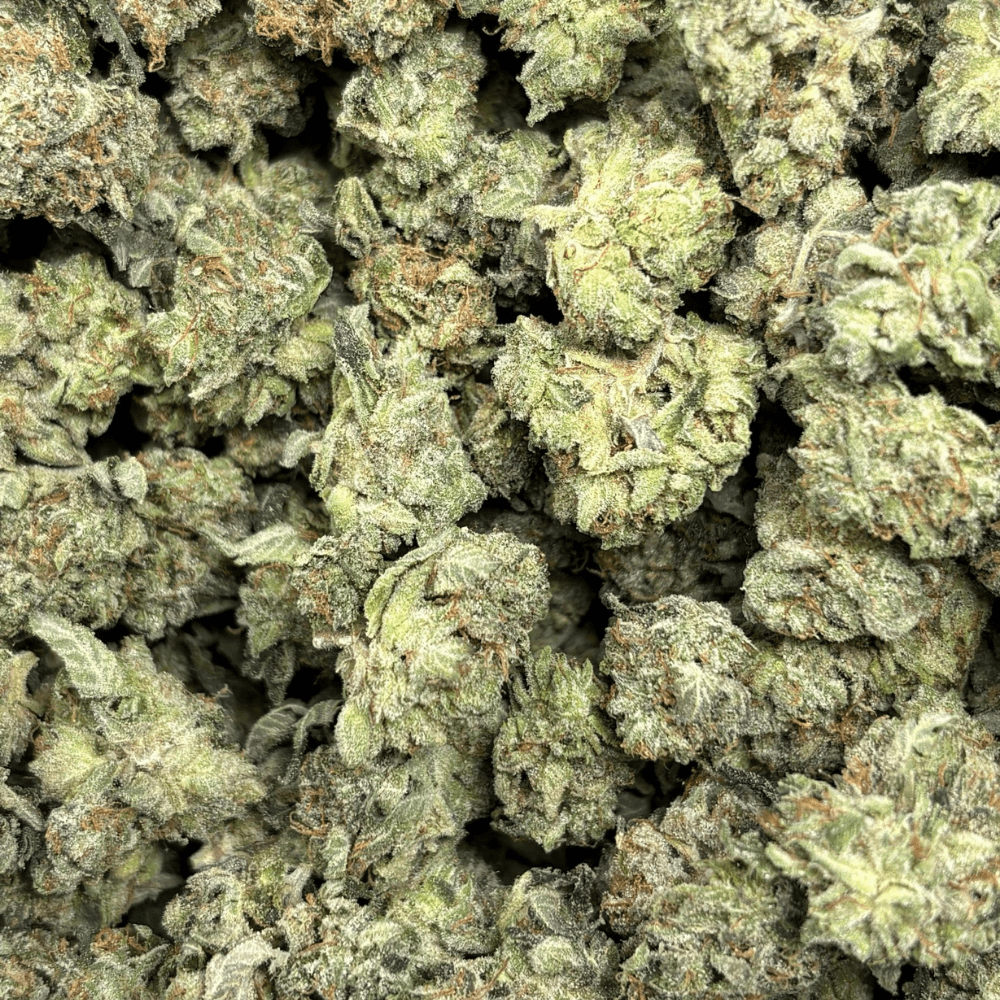 Rockstar Pebbles (3)