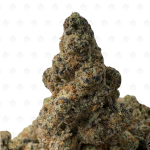 Starfighter Sunset (3)