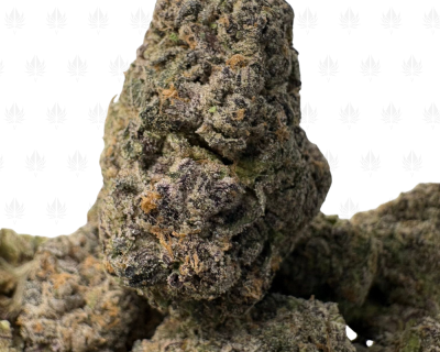 Sunset Sherbert-B (2)
