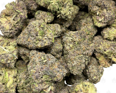 Sunset Sherbert-B (3)