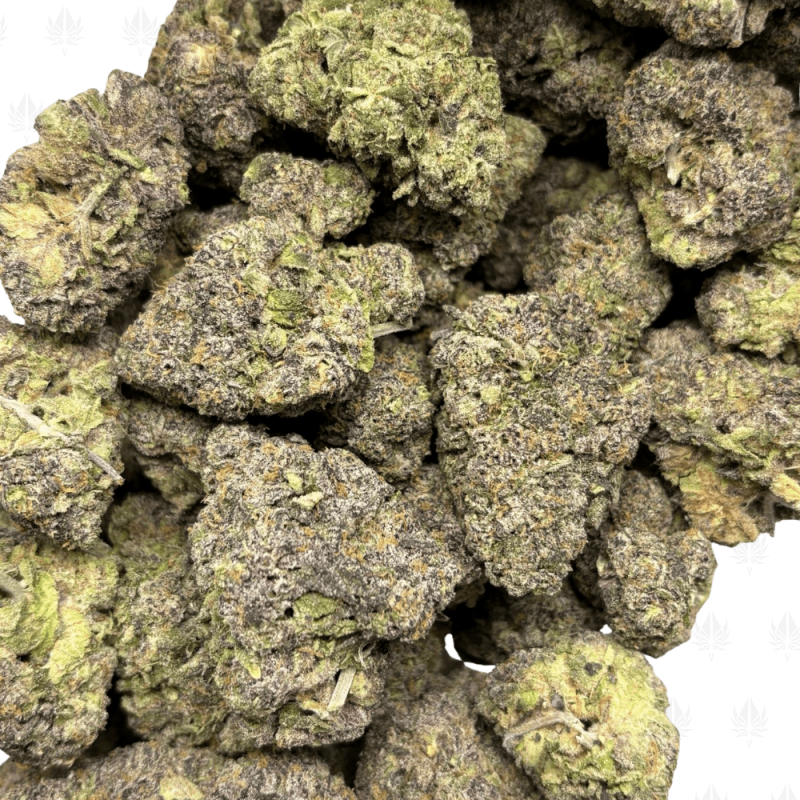 Sunset Sherbert-B (3)