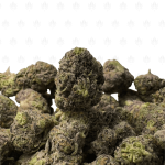 Sunset Sherbert-S (2)