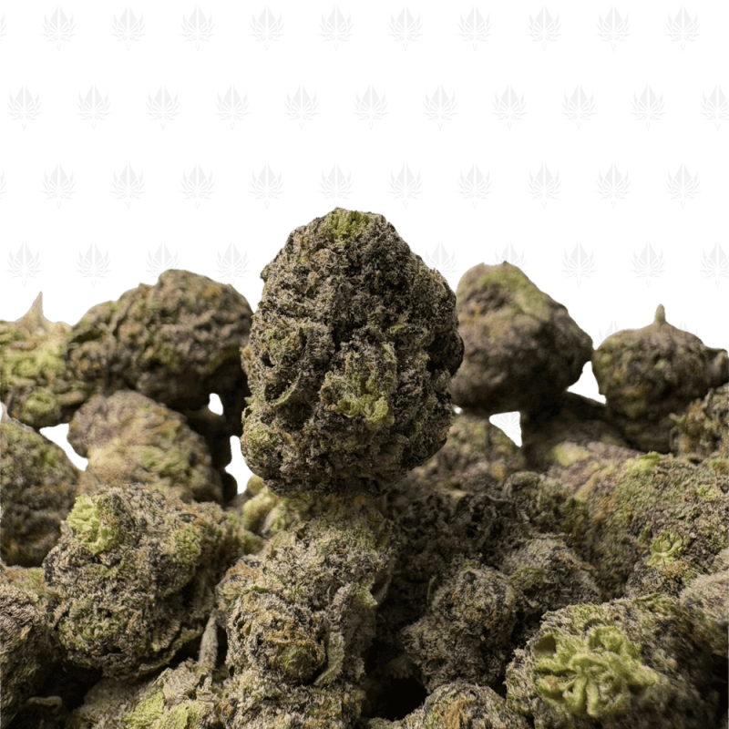 Sunset Sherbert-S (2)