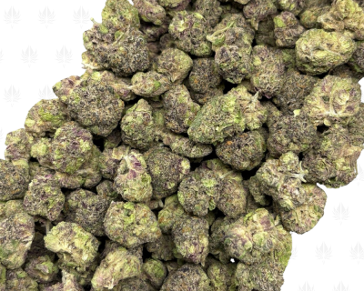 Sunset Sherbert-S (3)