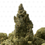 Super Silver Haze-B (2)