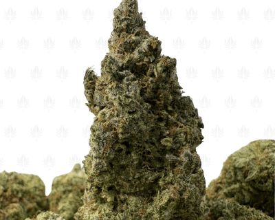 Super Silver Haze-B (2)