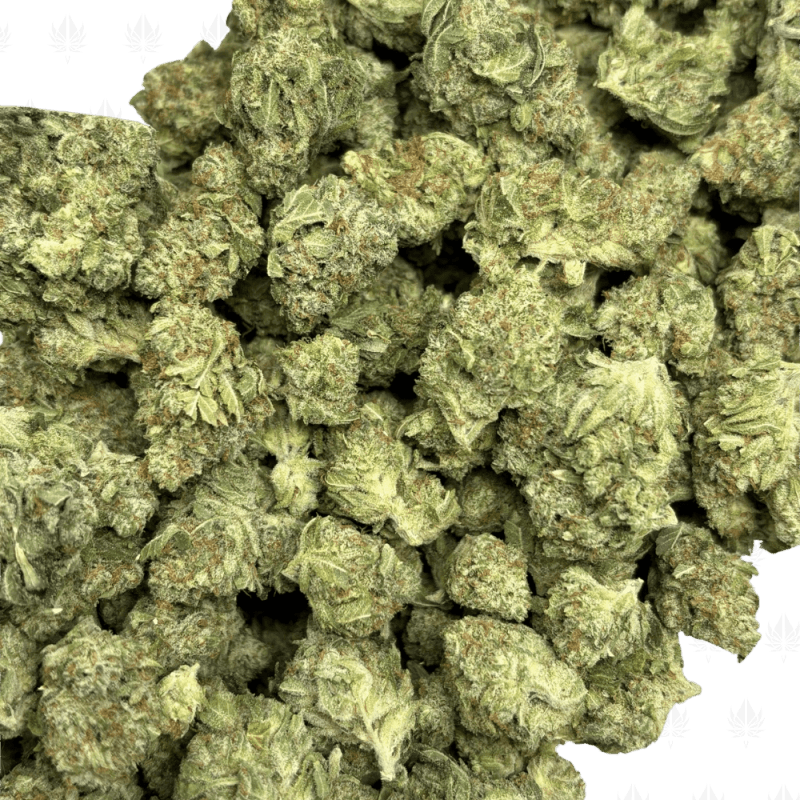 Super Silver Haze-S (2)