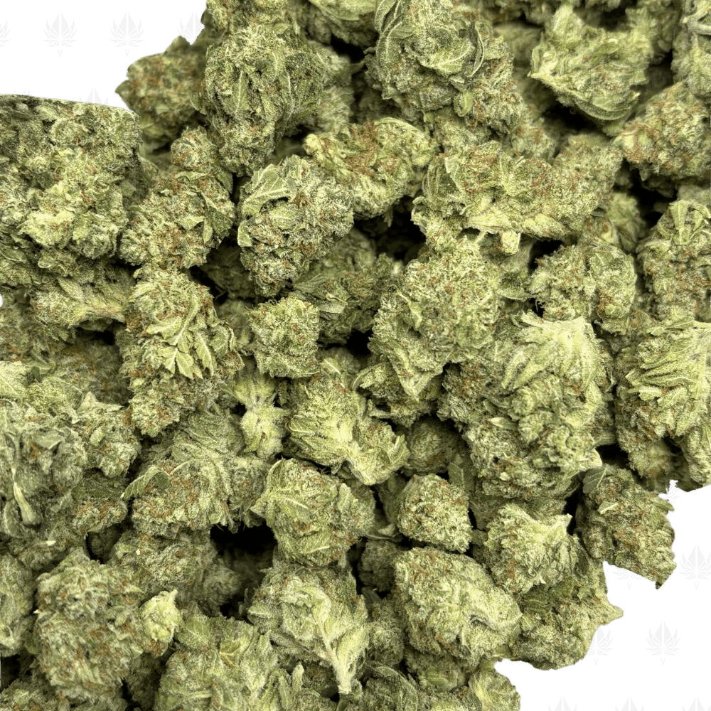 Super Silver Haze-S (2)