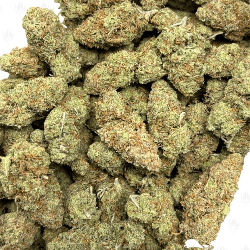 Tequila Sunrise-B (2)