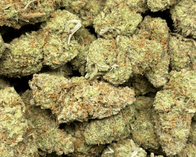 Tequila Sunrise-B (3)