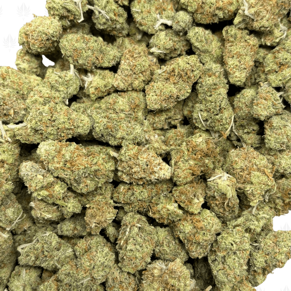 Tequilla Sunrise-S (2)