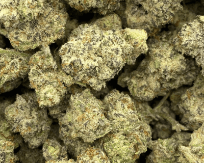 Wizard Fritter V2 (3)