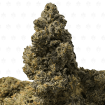 YELLOW MERMAID OG (LSO EXOTICS)