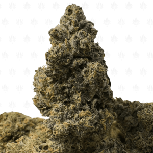 YELLOW MERMAID OG (LSO EXOTICS)