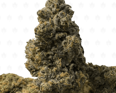 YELLOW MERMAID OG (LSO EXOTICS)