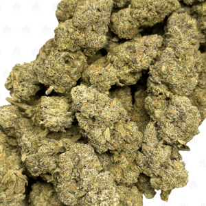 YELLOW MERMAID OG (LSO EXOTICS) - Image 3