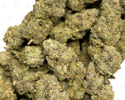 YELLOW MERMAID OG (LSO EXOTICS) - Image 3