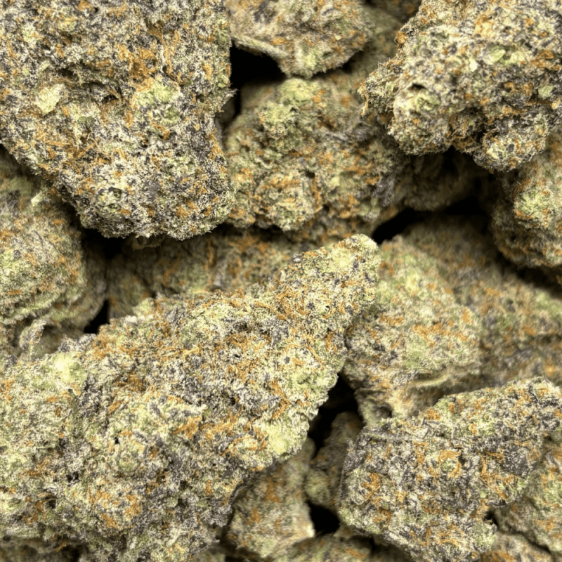 Blackberry Kush-B (2)