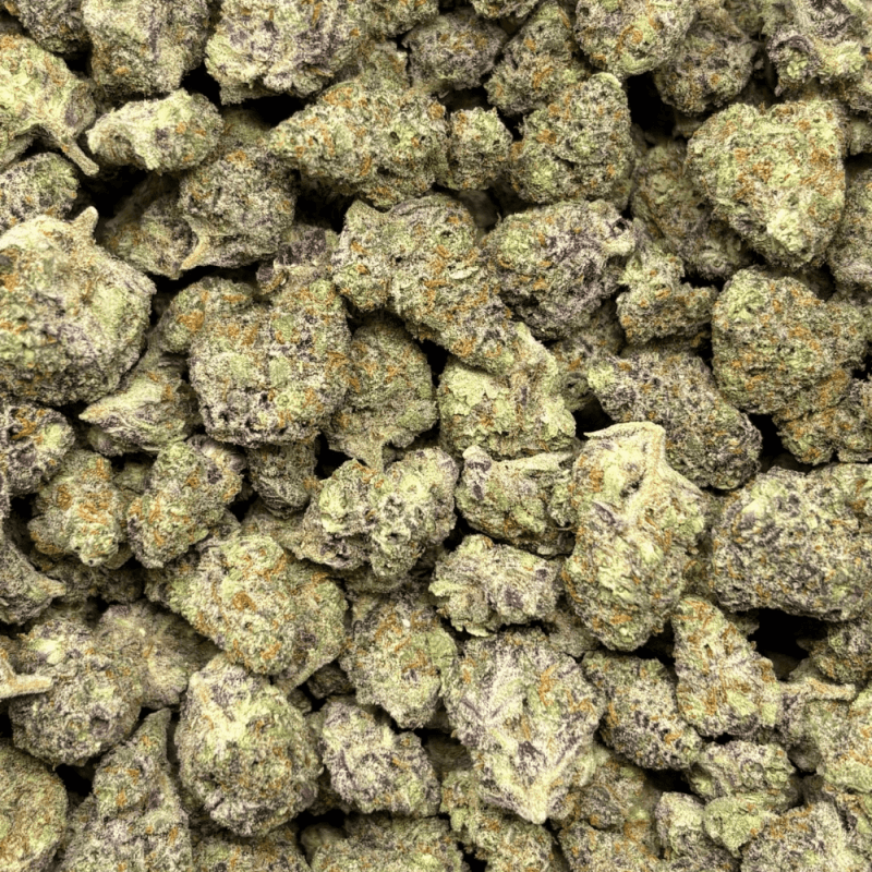 Blackberry Kush-S (2)