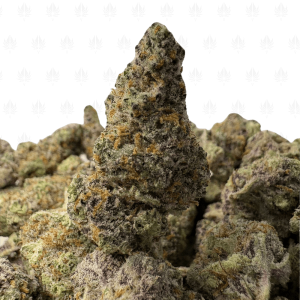 Blackberry Kush-S (3)