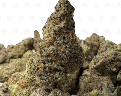 Blackberry Kush-S (3)