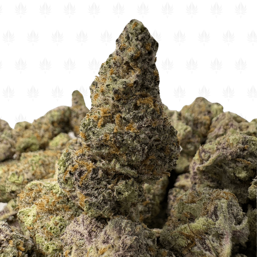 Blackberry Kush-S (3)