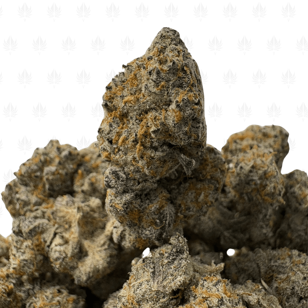 Mango Widow Mango Widow