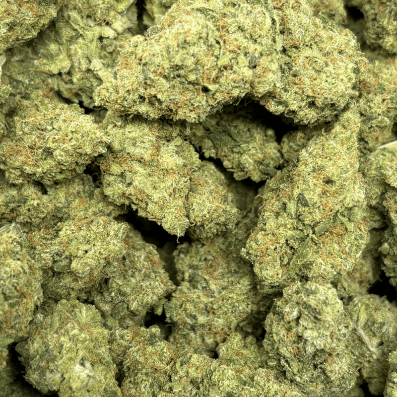 White Widow Haze (2)