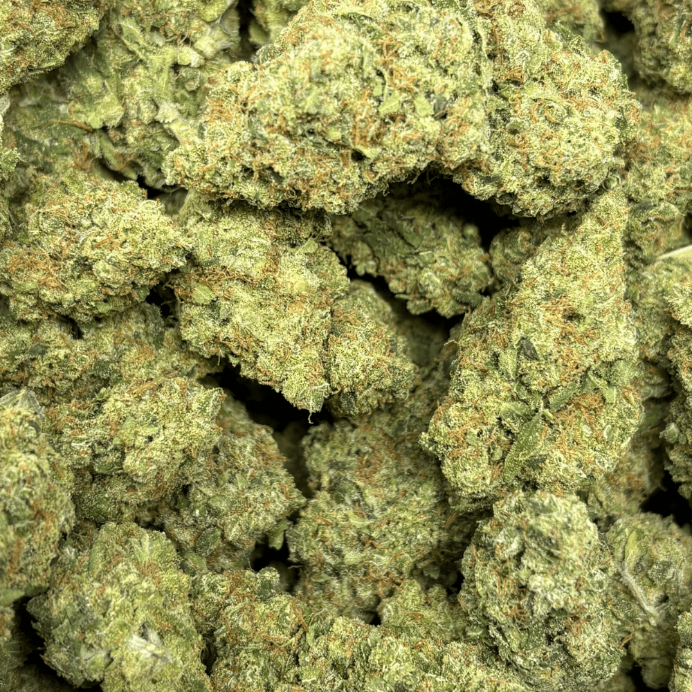 White Widow Haze (2)