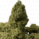 White Widow Haze (3)