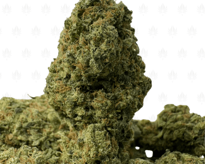 White Widow Haze (3)