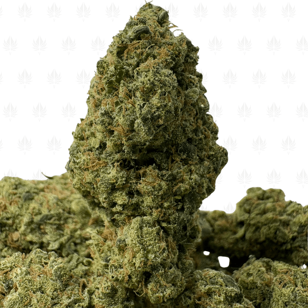 White Widow Haze (3)